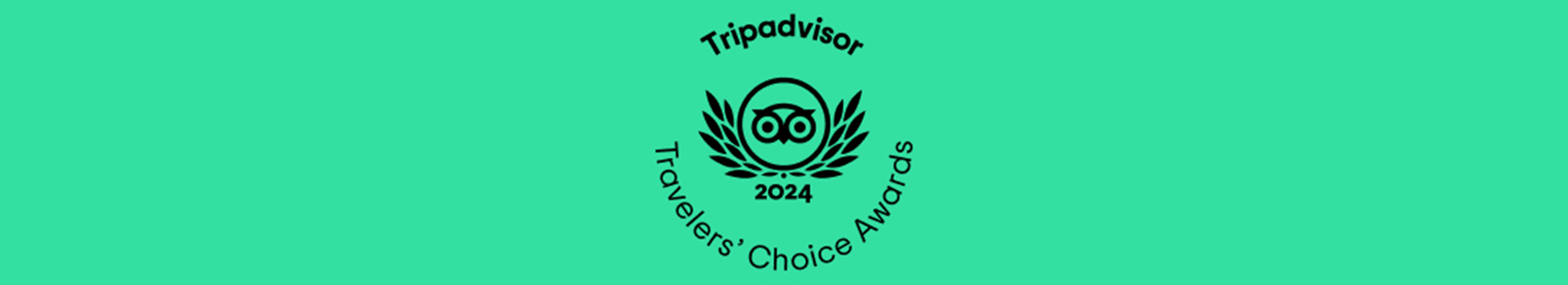 Trip Advisor Logo PM
